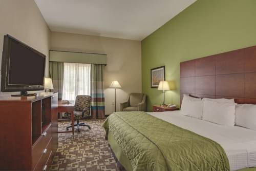Imagen de la habitación del Hotel La Quinta Inn & Suites by Wyndham Tupelo. Foto 3