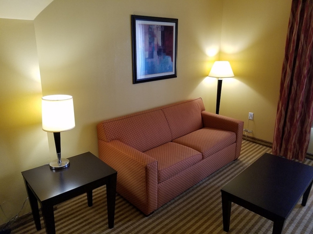 Imagen de la habitación del Hotel La Quinta Inn and Suites By Wyndham Atlanta-union City. Foto 8