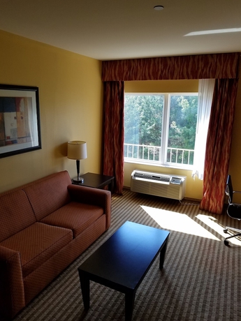Imagen de la habitación del Hotel La Quinta Inn and Suites By Wyndham Atlanta-union City. Foto 11