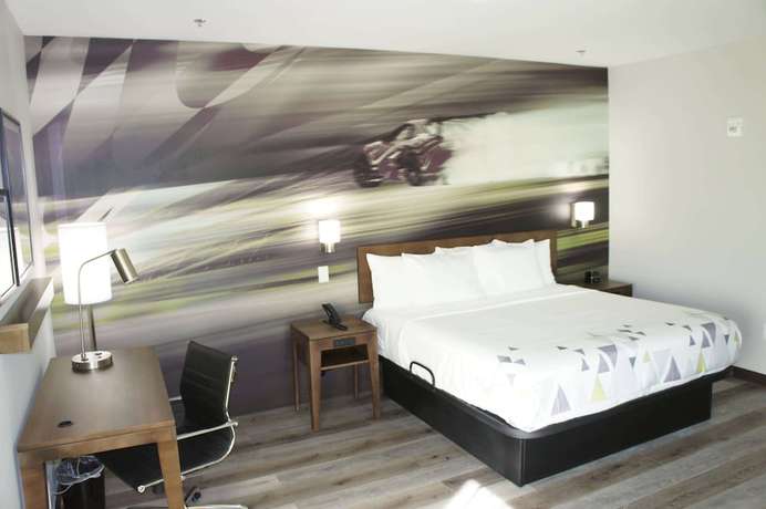 Imagen de la habitación del Hotel La Quinta Inn and Suites By Wyndham Braselton. Foto 4