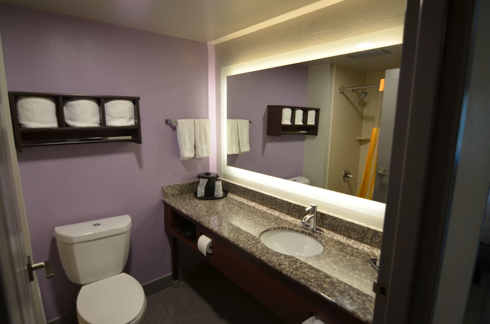 Imagen de la habitación del Hotel La Quinta Inn and Suites By Wyndham Clarksville. Foto 19