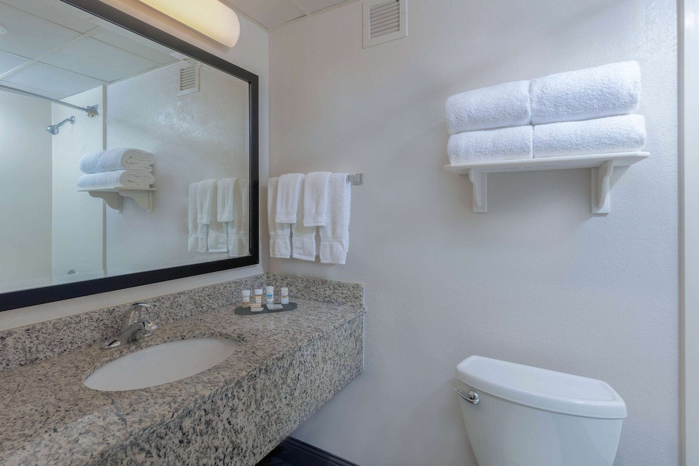 Imagen de la habitación del Hotel La Quinta Inn and Suites By Wyndham Clifton/rutherford. Foto 8