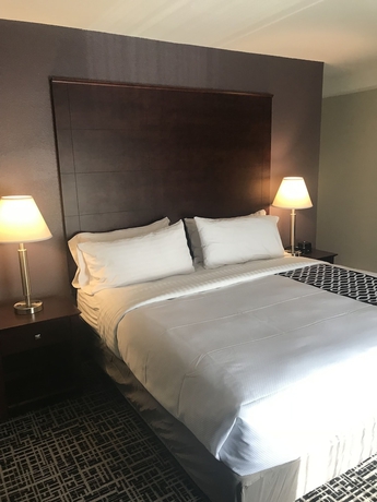Imagen de la habitación del Hotel La Quinta Inn and Suites By Wyndham Denver Aurora Medical. Foto 3
