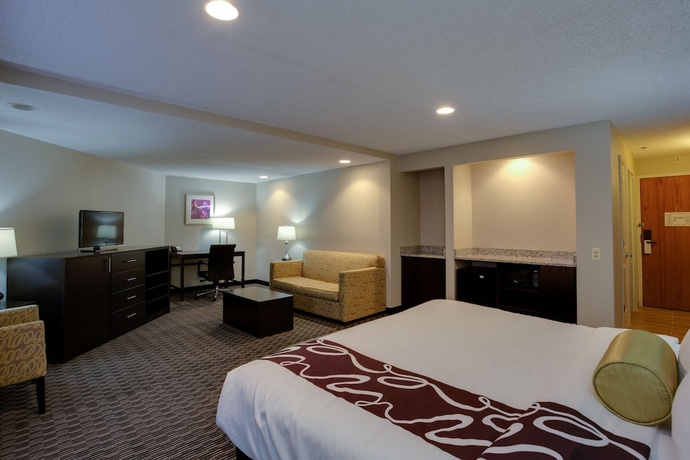 Imagen de la habitación del Hotel La Quinta Inn and Suites By Wyndham Detroit Metro Airport. Foto 9