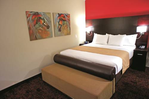 Imagen de la habitación del Hotel La Quinta Inn and Suites By Wyndham Elk City. Foto 9