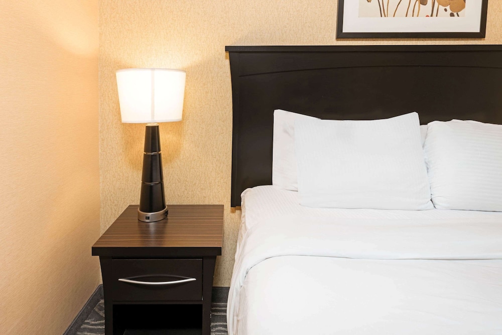 Imagen de la habitación del Hotel La Quinta Inn and Suites By Wyndham Logan. Foto 6