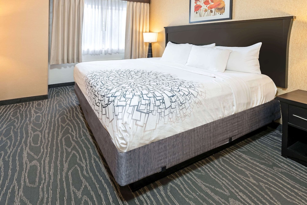 Imagen de la habitación del Hotel La Quinta Inn and Suites By Wyndham Logan. Foto 10
