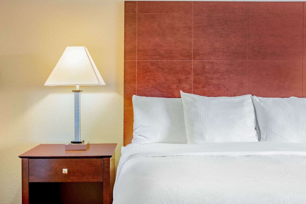 Imagen de la habitación del Hotel La Quinta Inn and Suites By Wyndham Mckinney. Foto 15