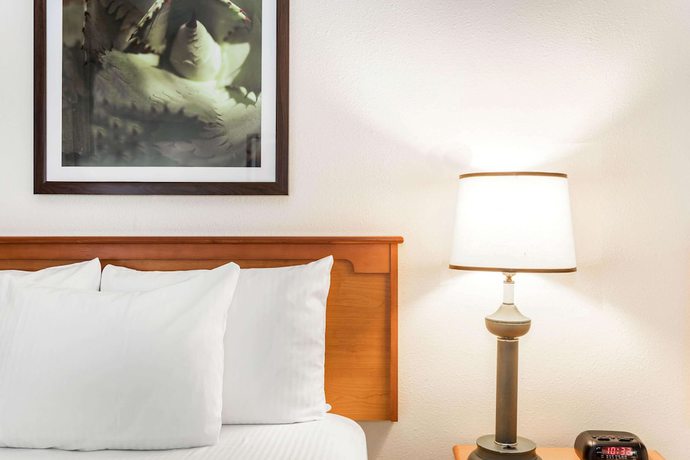 Imagen de la habitación del Hotel La Quinta Inn and Suites By Wyndham Orlando South. Foto 3