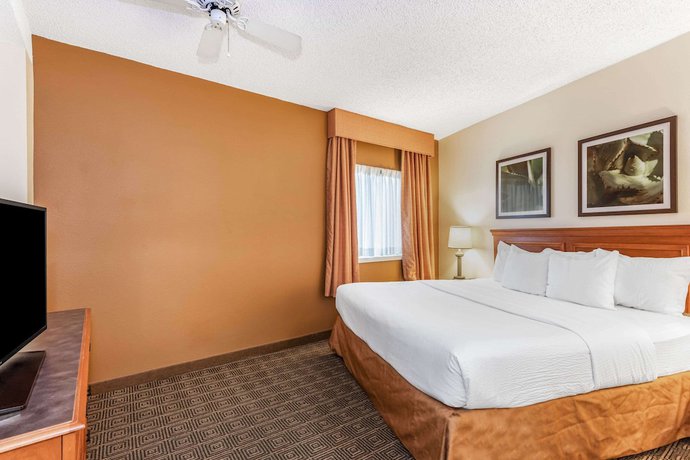 Imagen de la habitación del Hotel La Quinta Inn and Suites By Wyndham Orlando South. Foto 19