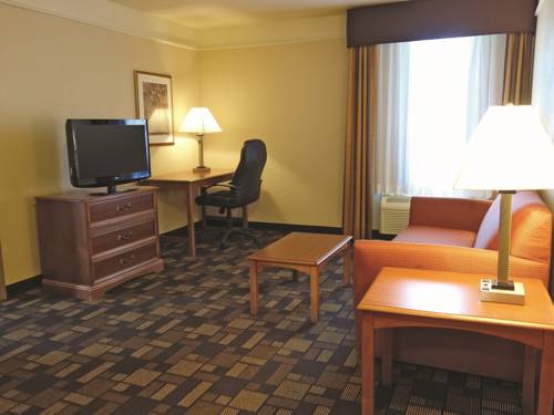 Imagen de la habitación del Hotel La Quinta Inn and Suites By Wyndham Seguin. Foto 6