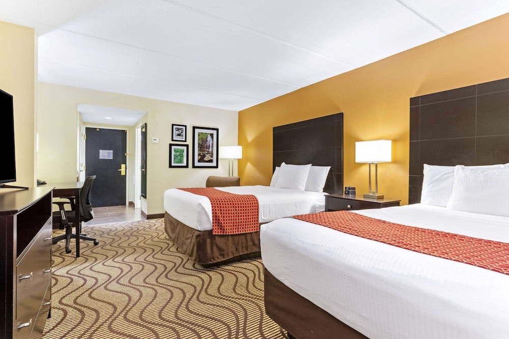 Imagen de la habitación del Hotel La Quinta Inn and Suites By Wyndham Tampa North I-75. Foto 7