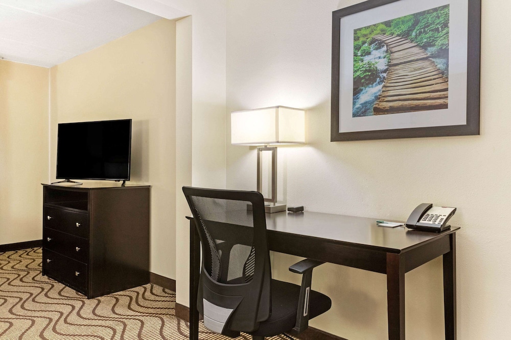 Imagen de la habitación del Hotel La Quinta Inn and Suites By Wyndham Tampa North I-75. Foto 8