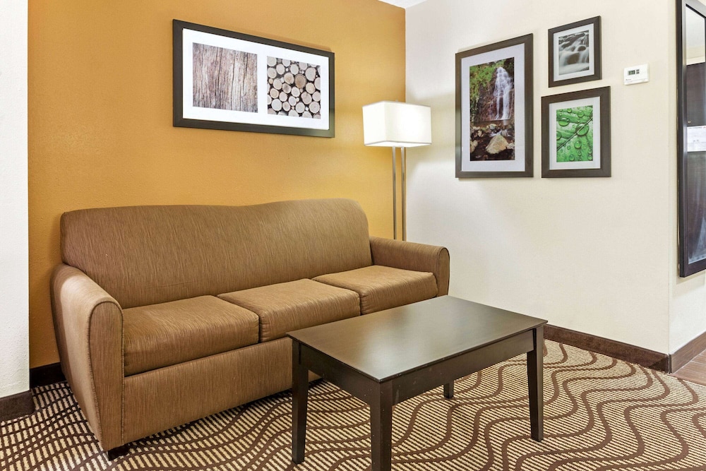Imagen de la habitación del Hotel La Quinta Inn and Suites By Wyndham Tampa North I-75. Foto 9