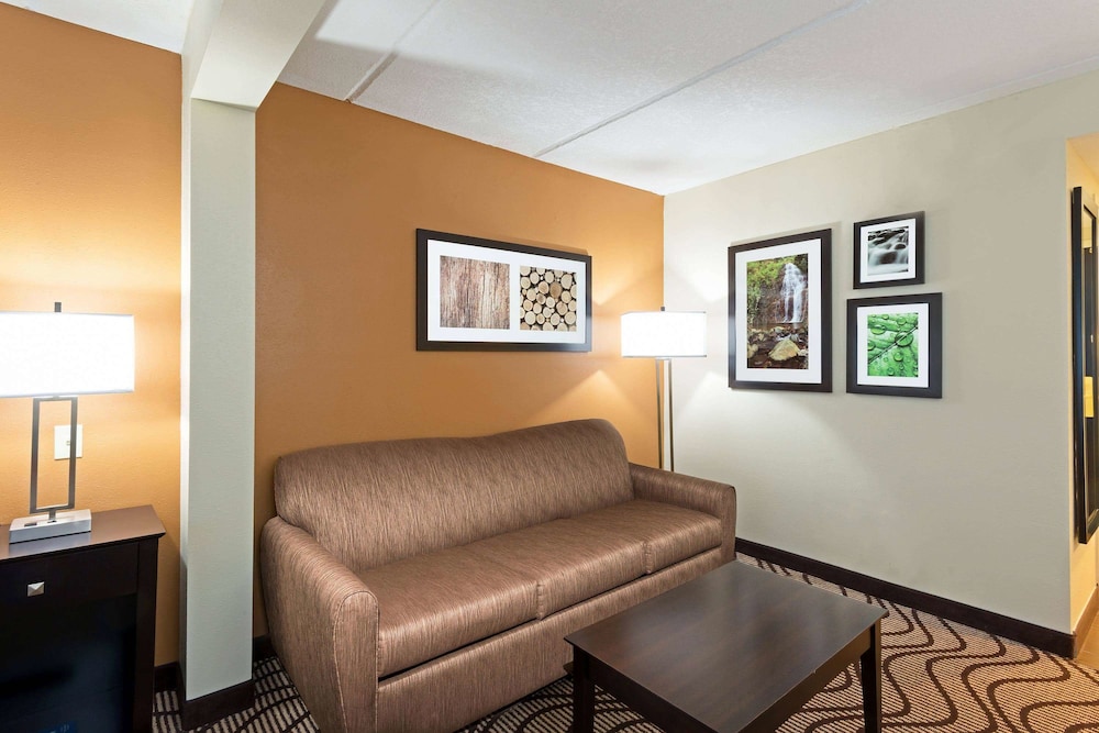 Imagen de la habitación del Hotel La Quinta Inn and Suites By Wyndham Tampa North I-75. Foto 12