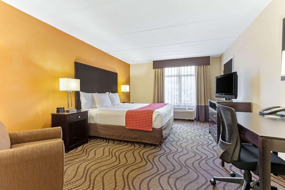 Imagen de la habitación del Hotel La Quinta Inn and Suites By Wyndham Tampa North I-75. Foto 14