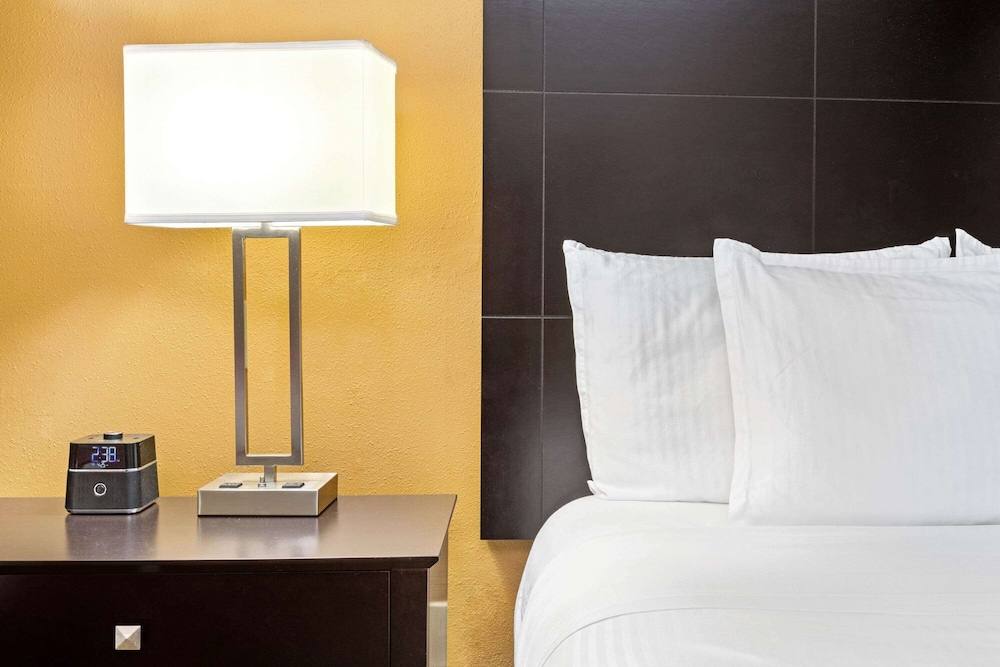 Imagen de la habitación del Hotel La Quinta Inn and Suites By Wyndham Tampa North I-75. Foto 15