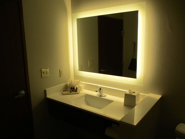 Imagen de la habitación del Hotel La Quinta Inn and Suites by Wyndham Jackson/Cape Girardeau. Foto 4