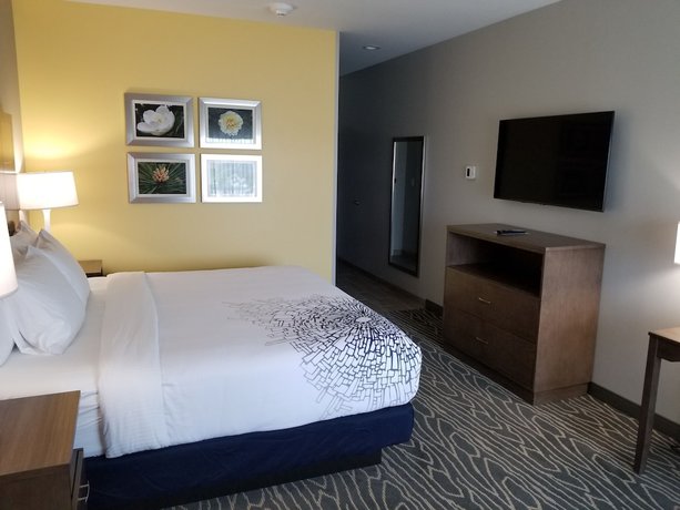 Imagen de la habitación del Hotel La Quinta Inn and Suites by Wyndham Tifton. Foto 5