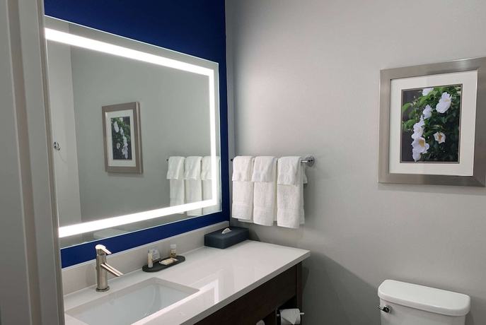 Imagen de la habitación del Hotel La Quinta Inn and Suites by Wyndham Tifton. Foto 6