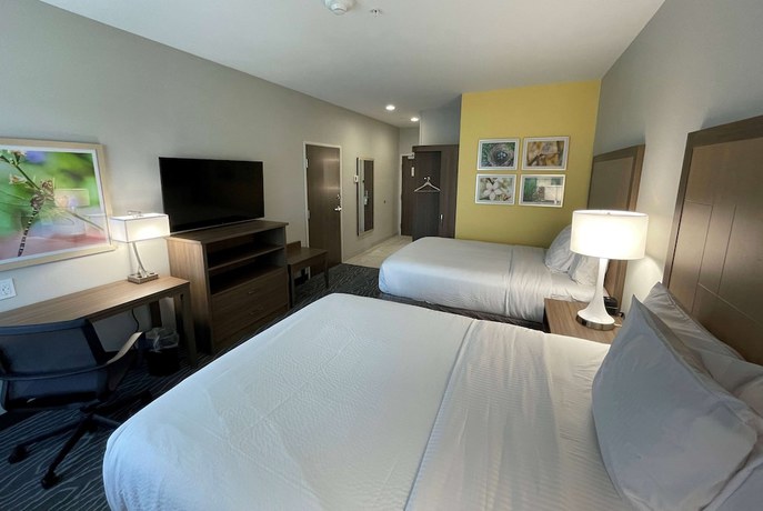 Imagen de la habitación del Hotel La Quinta Inn and Suites by Wyndham Valdosta. Foto 10