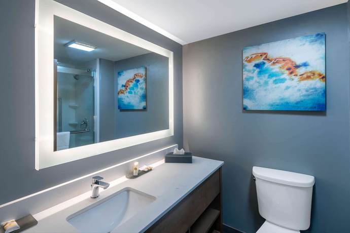 Imagen de la habitación del Hotel La Quinta Inn and Suites by Wyndham-Albany GA. Foto 3