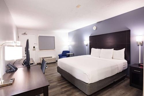 Imagen de la habitación del Hotel La Quinta Inn by Wyndham Tampa Near Busch Gardens, Tampa . Foto 10