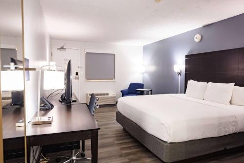 Imagen de la habitación del Hotel La Quinta Inn by Wyndham Tampa Near Busch Gardens, Tampa . Foto 12