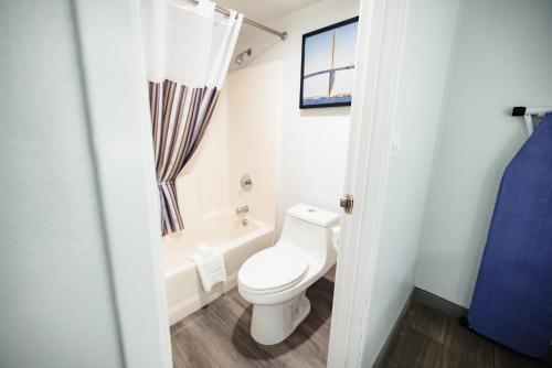 Imagen de la habitación del Hotel La Quinta Inn by Wyndham Tampa Near Busch Gardens, Tampa . Foto 14