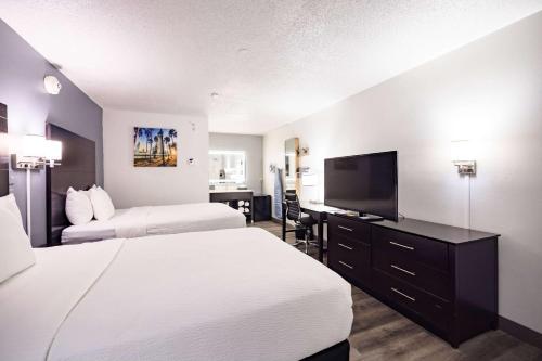 Imagen de la habitación del Hotel La Quinta Inn by Wyndham Tampa Near Busch Gardens, Tampa . Foto 17