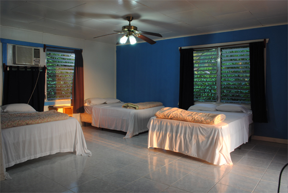 Imagen de la habitación del Hotel La Quinta Roatan. Foto 4