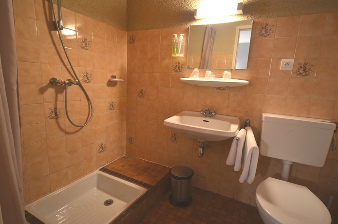 Imagen de la habitación del Hotel La R&eacute;gence, Lourdes. Foto 9