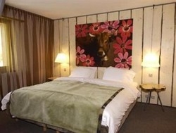 Imagen de la habitación del Hotel La Reine Des Alpes. Foto 2