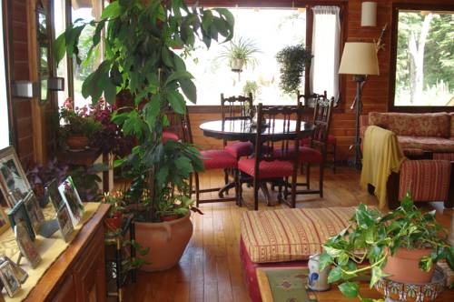 Imagen general del Hotel La Roca De La Patagonia. Foto 9