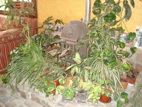 Imagen general del Hotel La Roca De La Patagonia. Foto 13