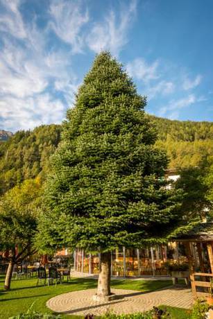 Imagen de la habitación del Hotel La Romantica. Foto 6
