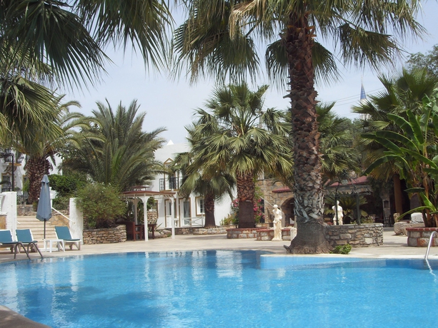Imagen de la piscina del Hotel La Rosa, Gumbet. Foto 9