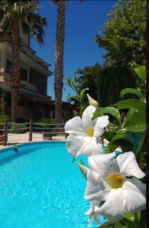 Imagen de la piscina del Hotel La Rotonda, Cepagatti. Foto 20