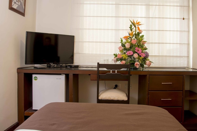 Imagen de la habitación del Hotel La Sabana. Foto 11