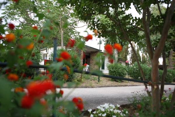 Imagen de los exteriores del Hotel La Serra Holiday Village and Beach. Foto 5