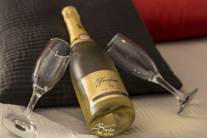 Imagen general del Hotel La Siesta, Tordesillas. Foto 13