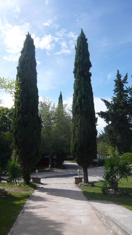 Imagen de los exteriores del Hotel La Sommellerie. Foto 6