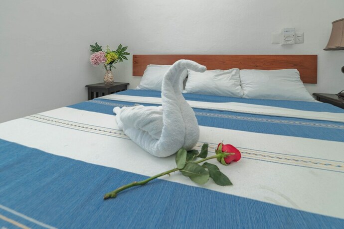 Imagen general del Hotel La Trigue&ntilde;a. Foto 13