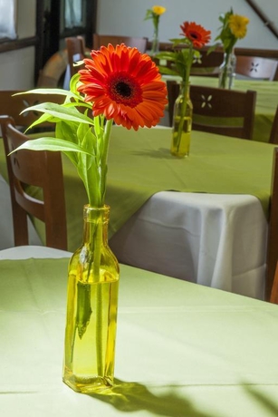 Imagen general del Hotel La Tripergola. Foto 10