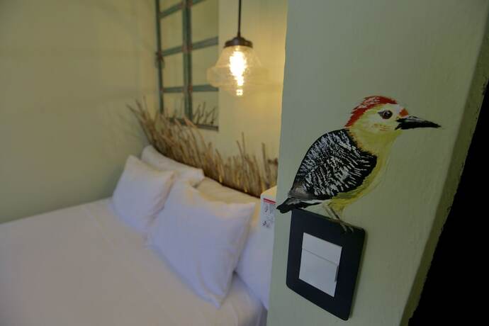 Imagen general del Hotel La Tulume&ntilde;a. Foto 7