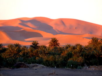 Imagen general del Hotel La Vall&eacute;e Des Dunes. Foto 3