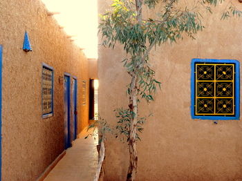 Imagen general del Hotel La Vall&eacute;e Des Dunes. Foto 6