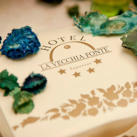 Imagen de la habitación del Hotel La Vecchia Fonte. Foto 8