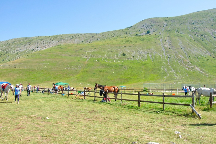 Imagen general del Hotel La Vecchia Miniera. Foto 2