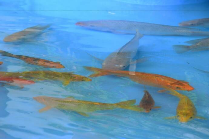 Imagen de los exteriores del Hotel La Villa, Ciudad Quesada. Foto 12